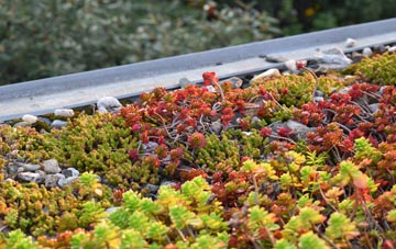 the cost of Four Pools green roof installation