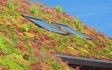Four Pools living roof systems