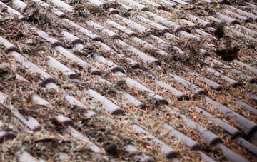 Four Pools roof cleaning companies