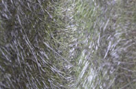 Four Pools fibreglass roof work